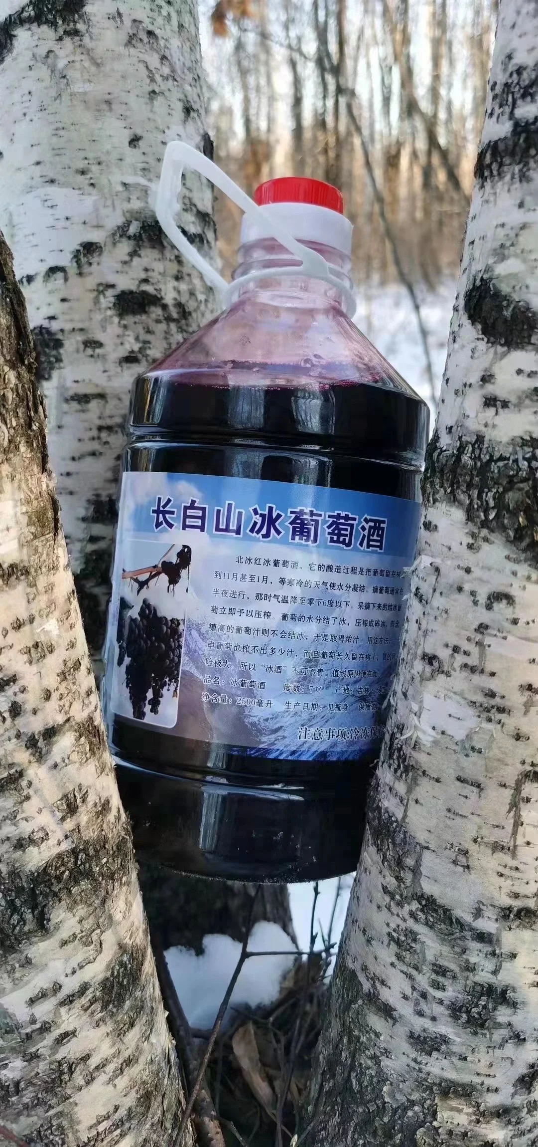 长白山冰葡萄酒只有冬天才有的酒