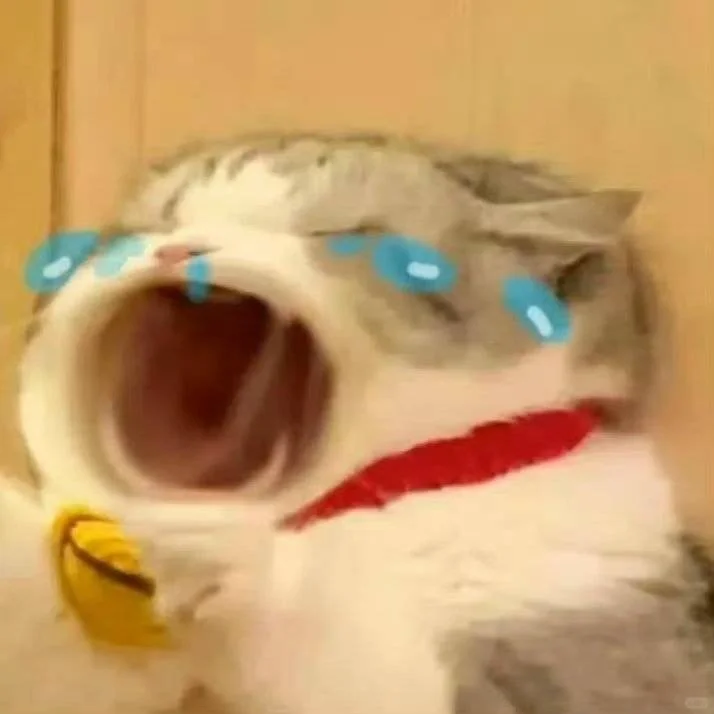 不加班的公司怎么就招不到人啊！！？