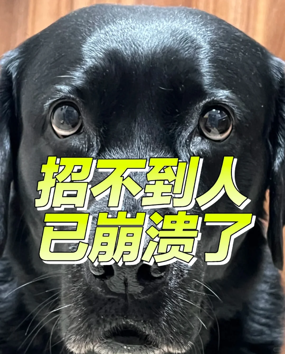 公司搬到良庆区，天塌了