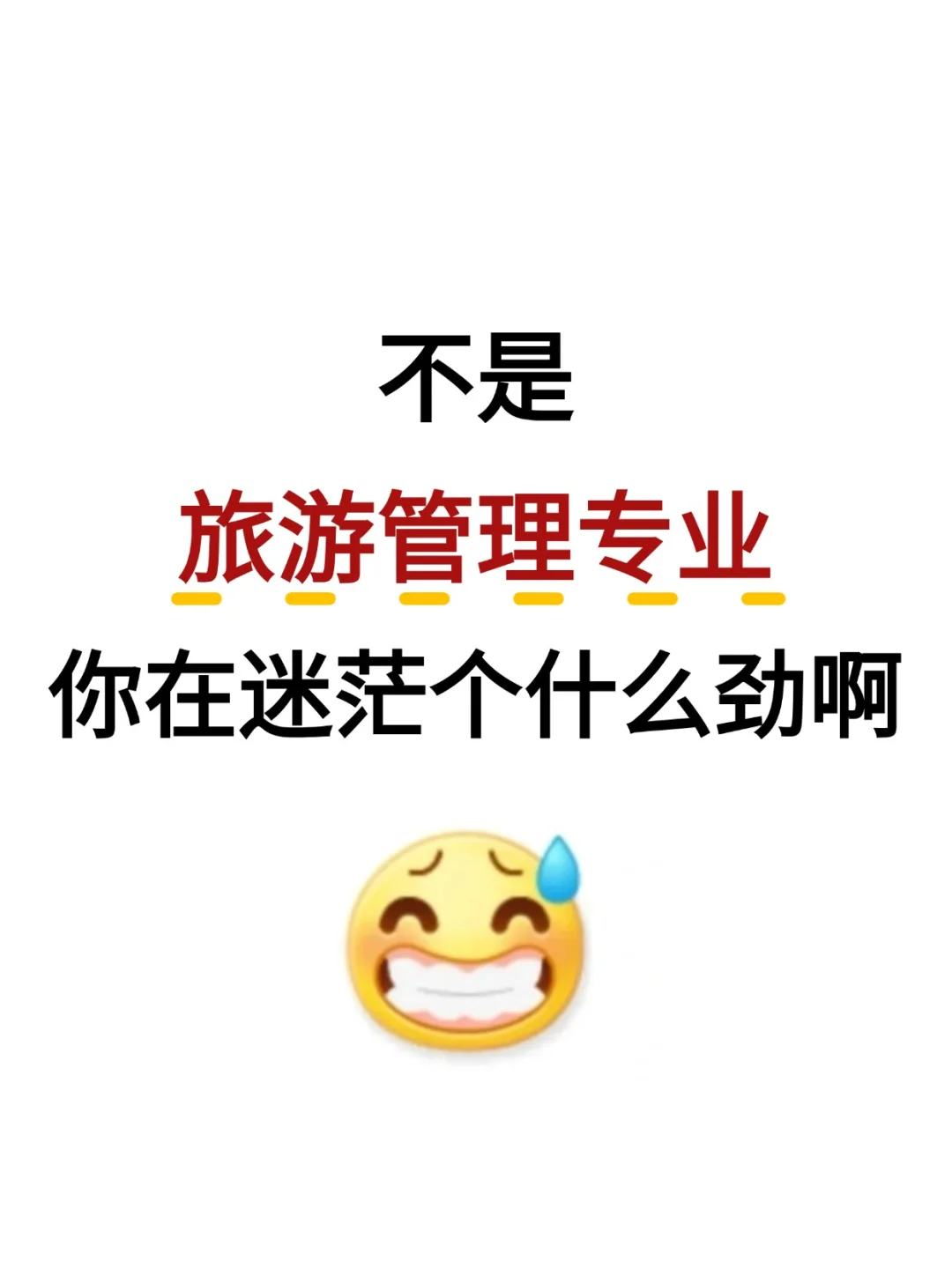 不是，旅游管理专业真的赢麻了！