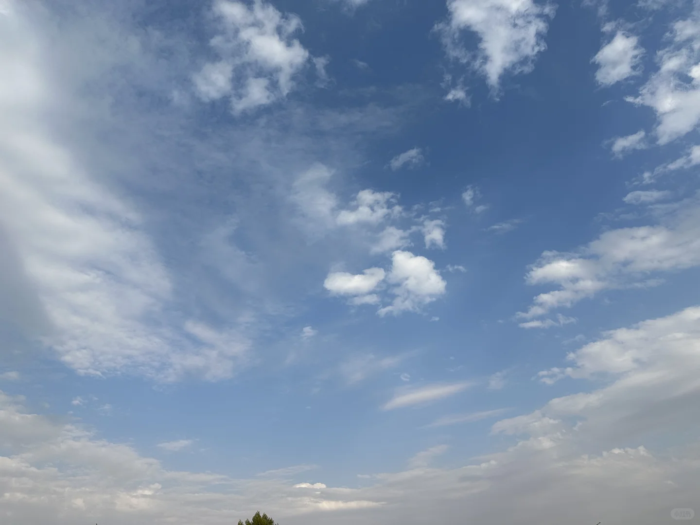 谁来 招it和产品