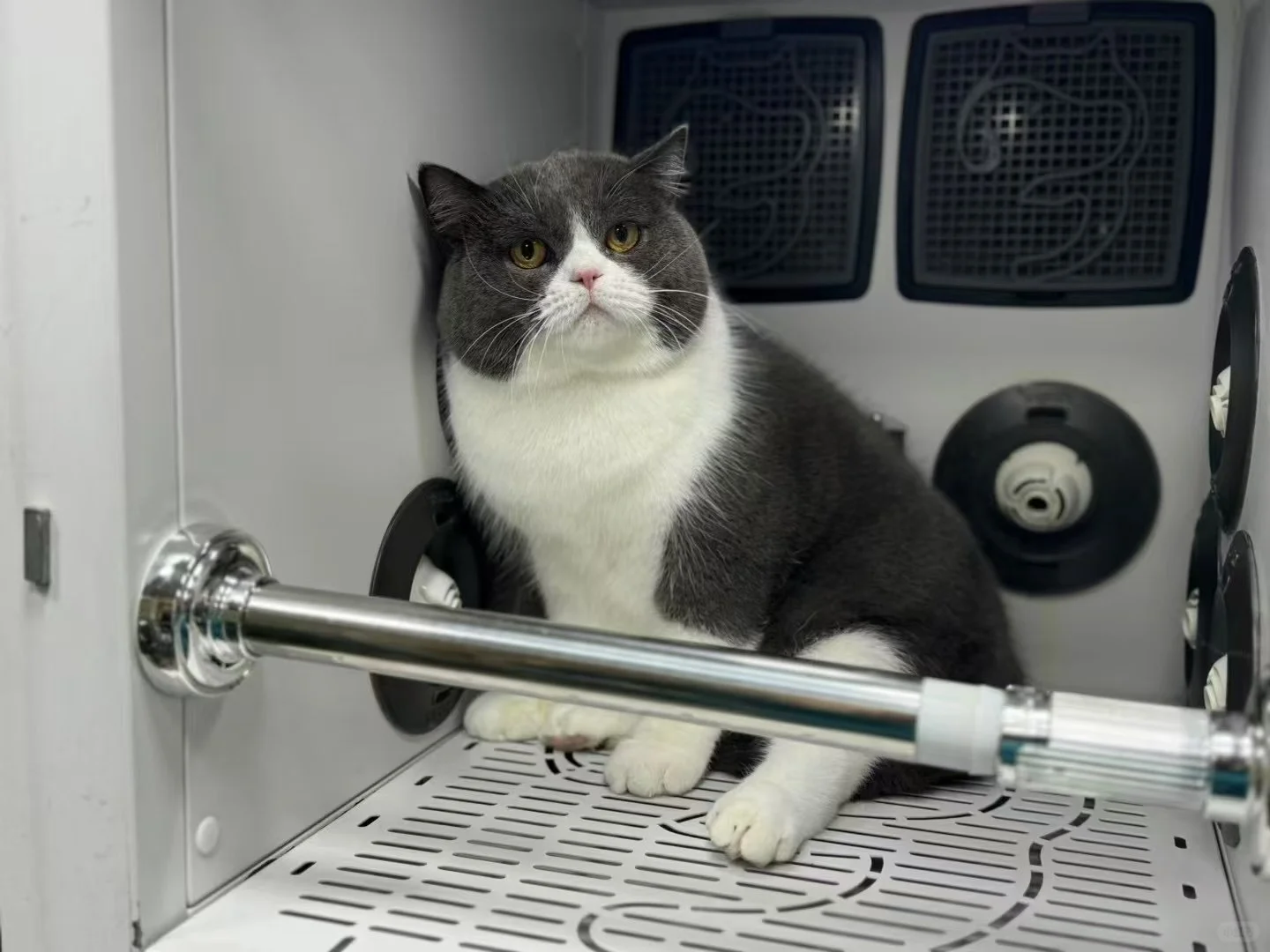 双休 人事招聘专员