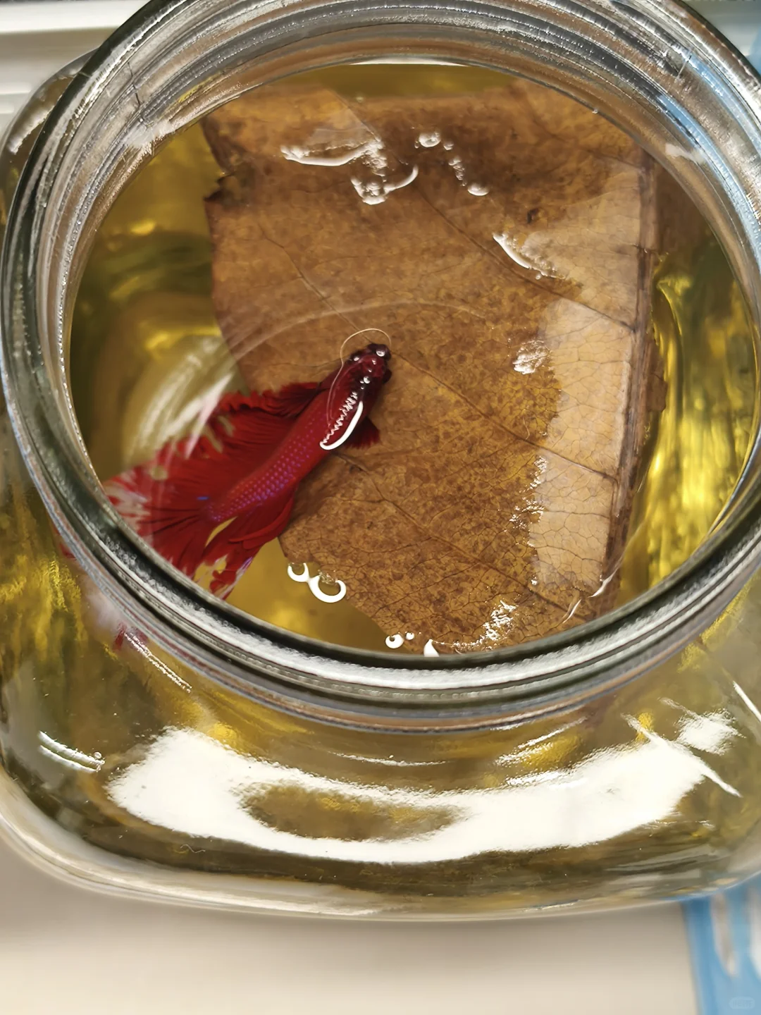 招不到人真的是招聘的原因嘛