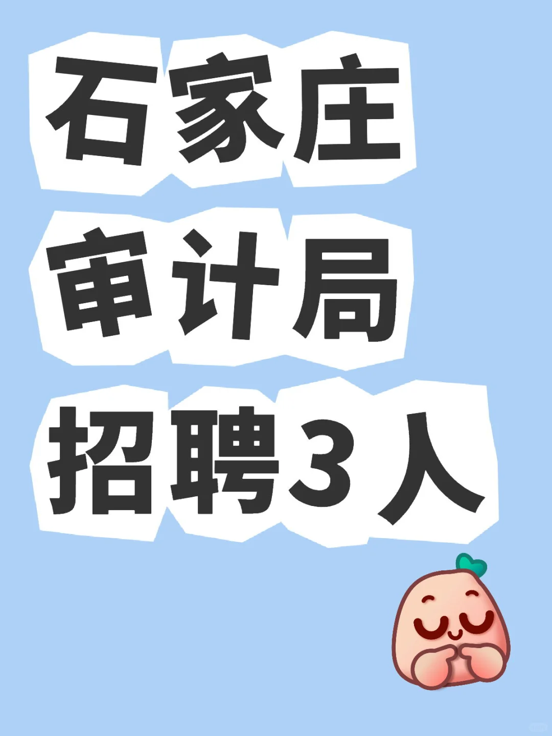 石家庄审计局招聘3人