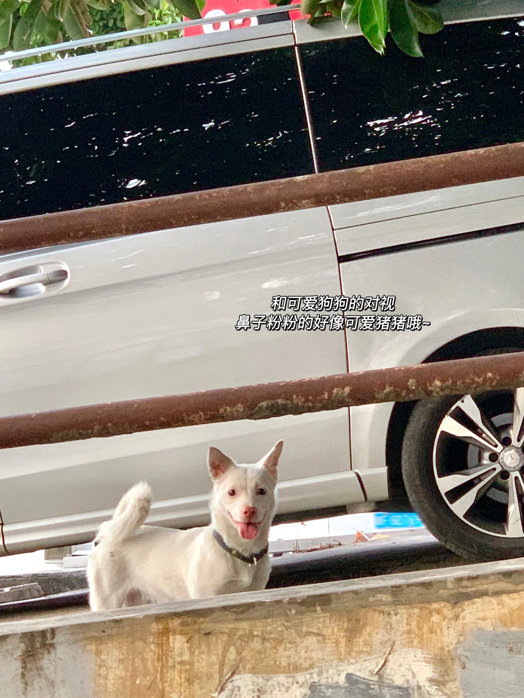 双休美妆公司/快来试试这36个在招岗位哇‼️