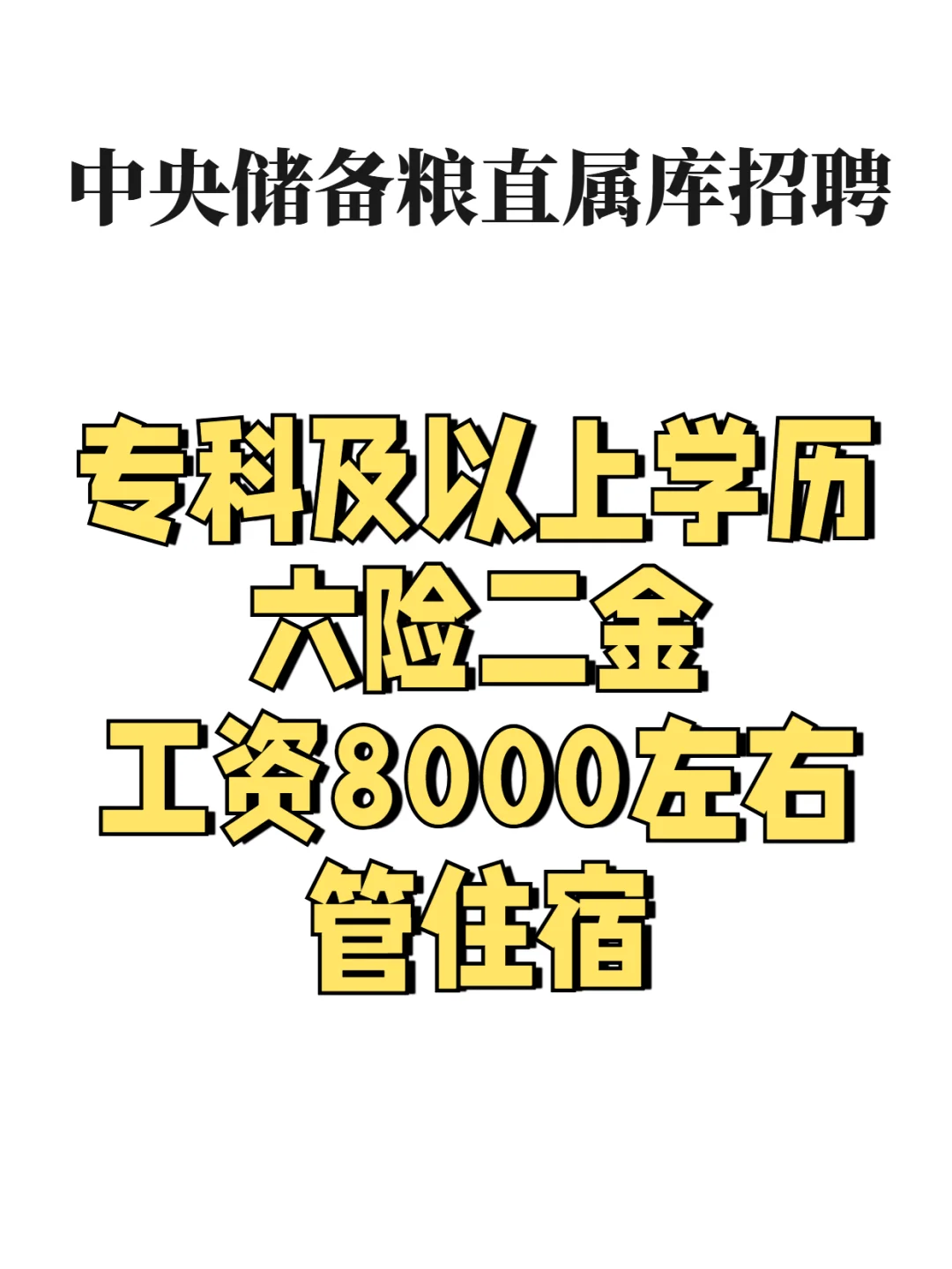 储备粮直属库招聘🎀