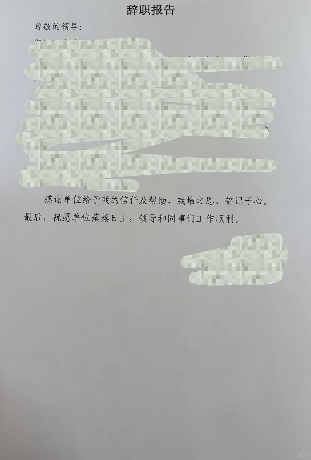 法院辞职，开启实习生活