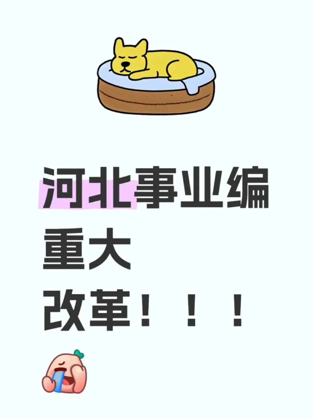 河北省直不考公基了