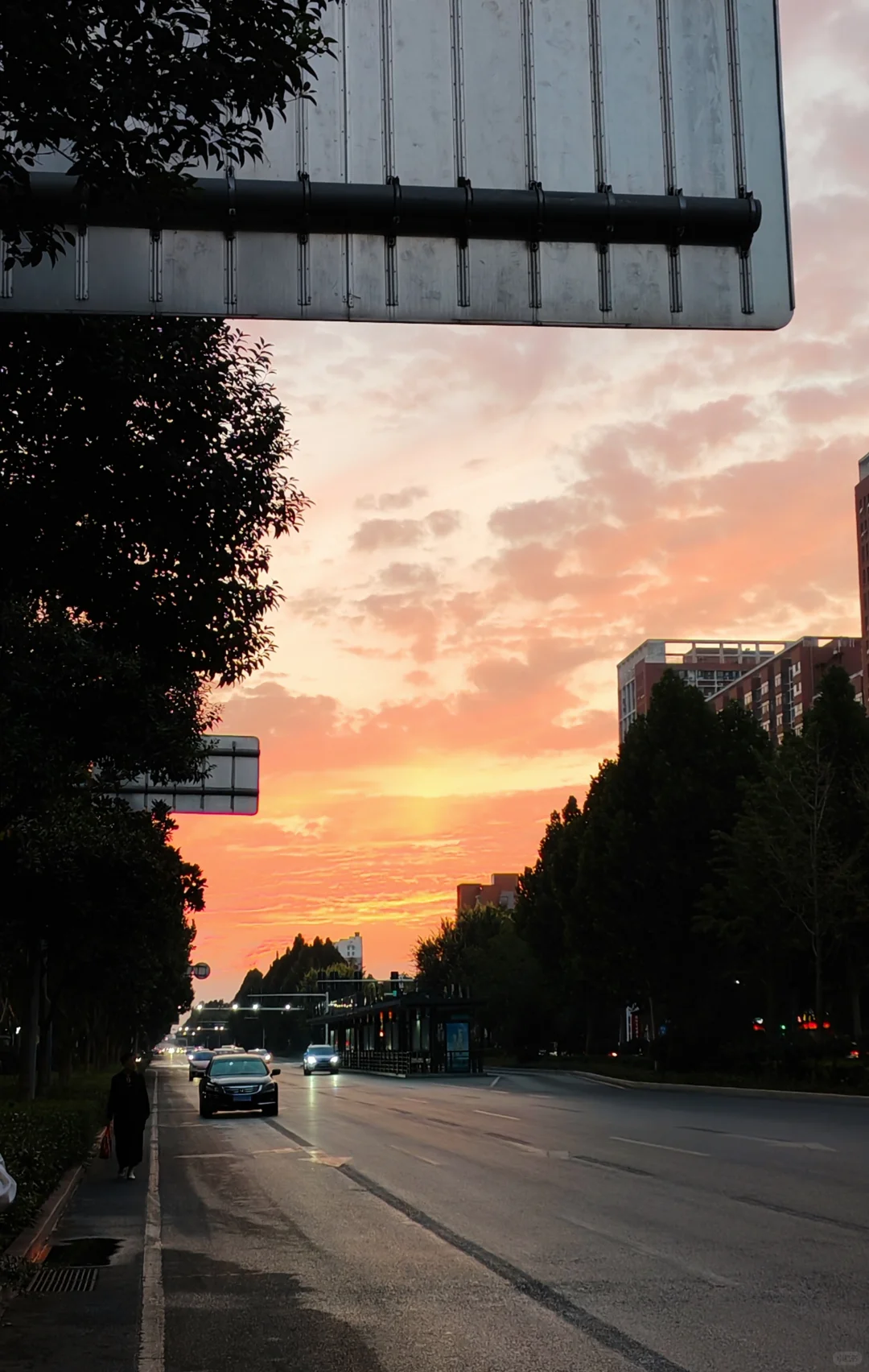 五年基层省聘检察院书记员辞职当律师