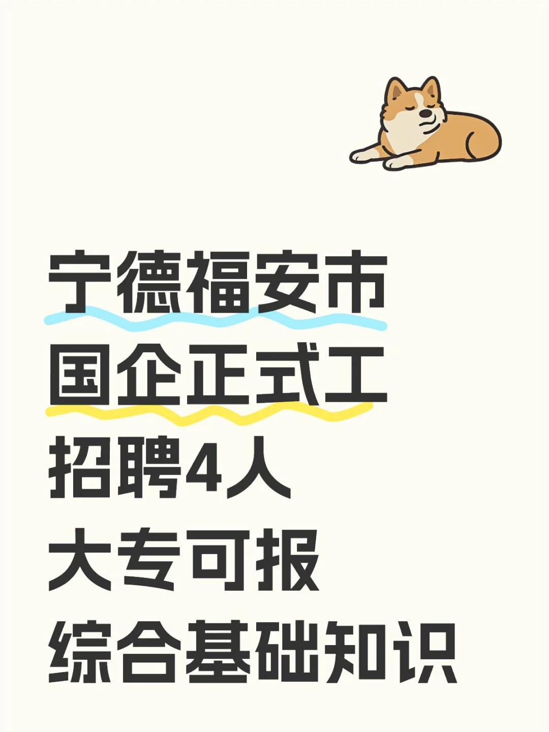 宁德福安市，国企招4名正式员工，大专可报