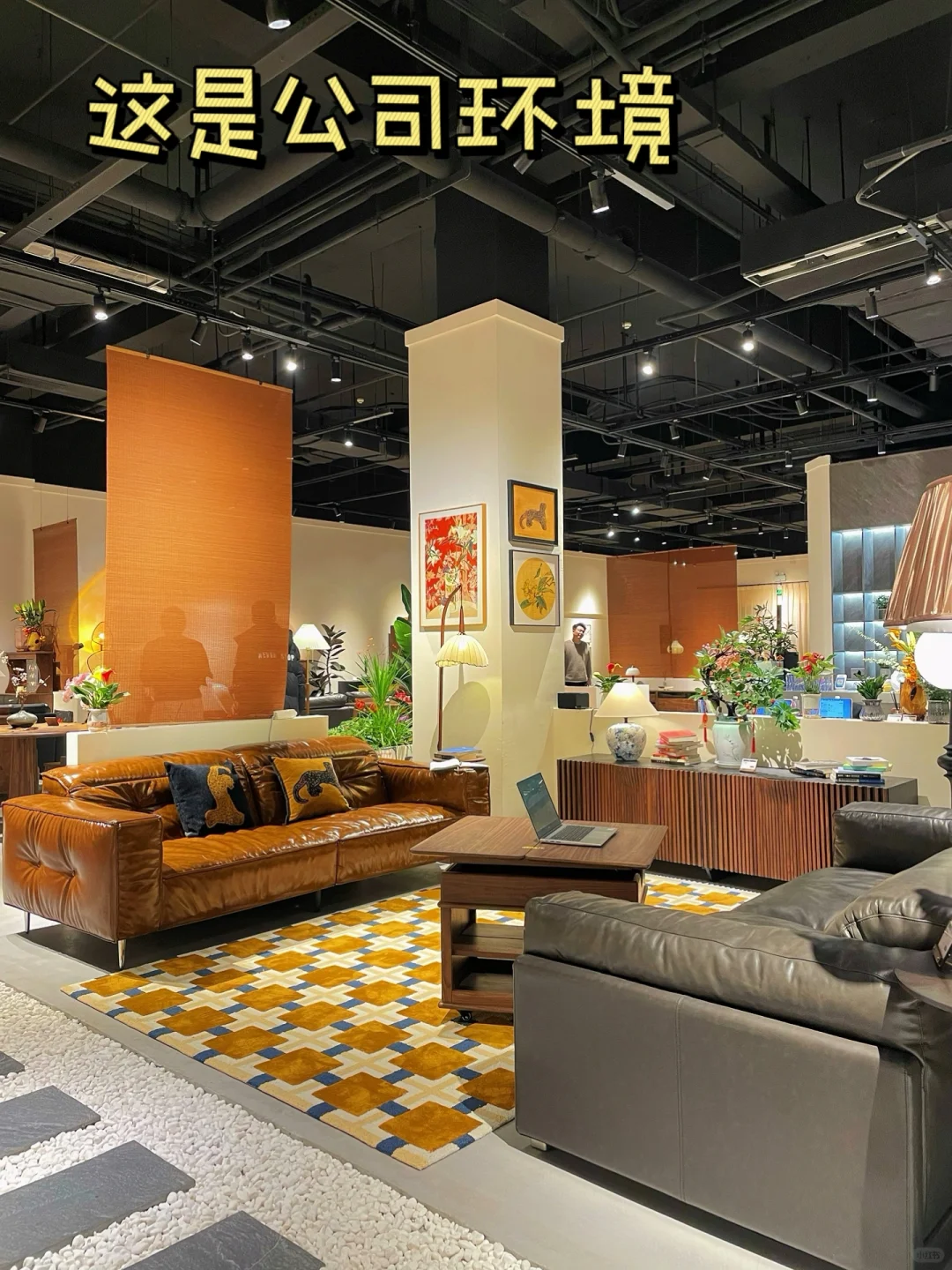 真没想到当初进的是这样一家公司🤣