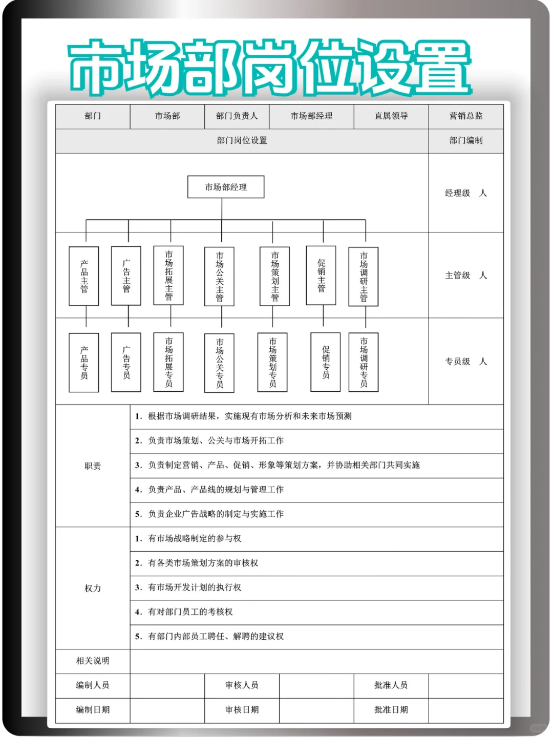 市场部岗位设置结构