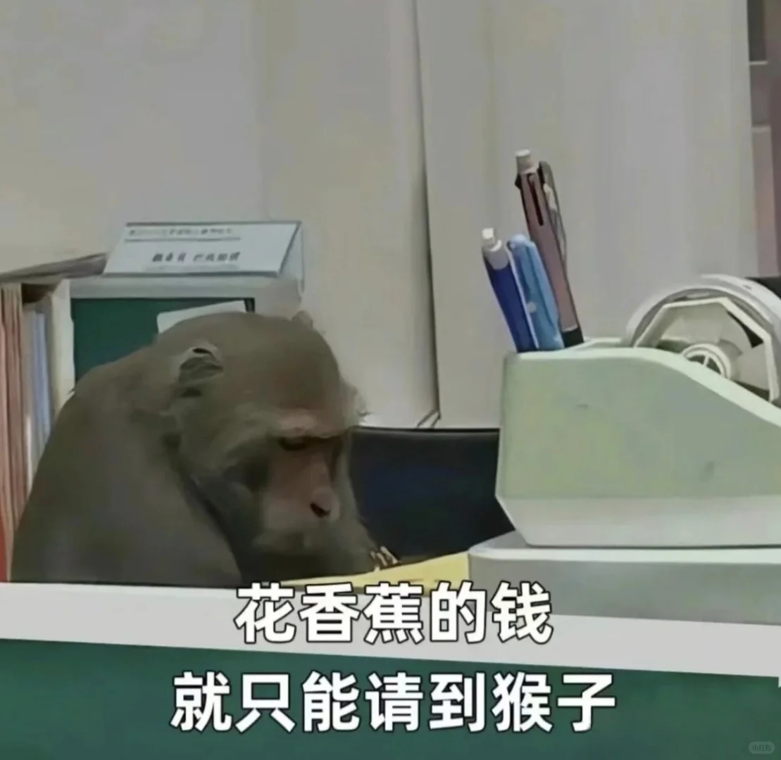 飞未云科社招面试一面经验