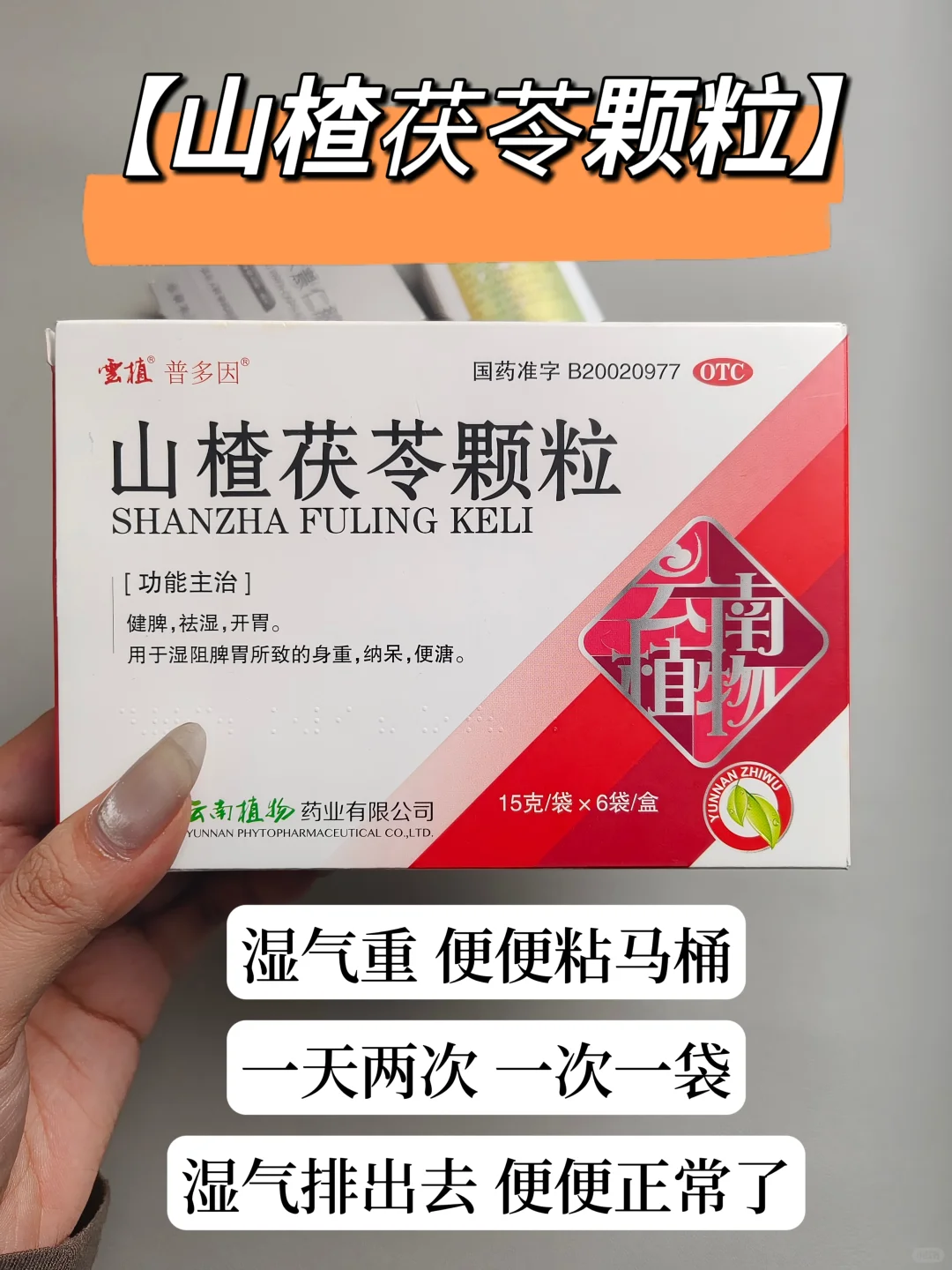 第一次感受到归脾丸对大肚腩的威力