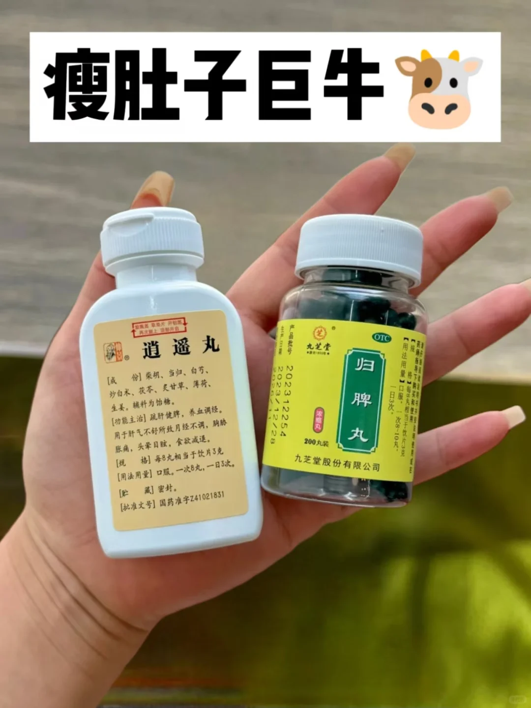 第一次感受到归脾丸对大肚腩的威力