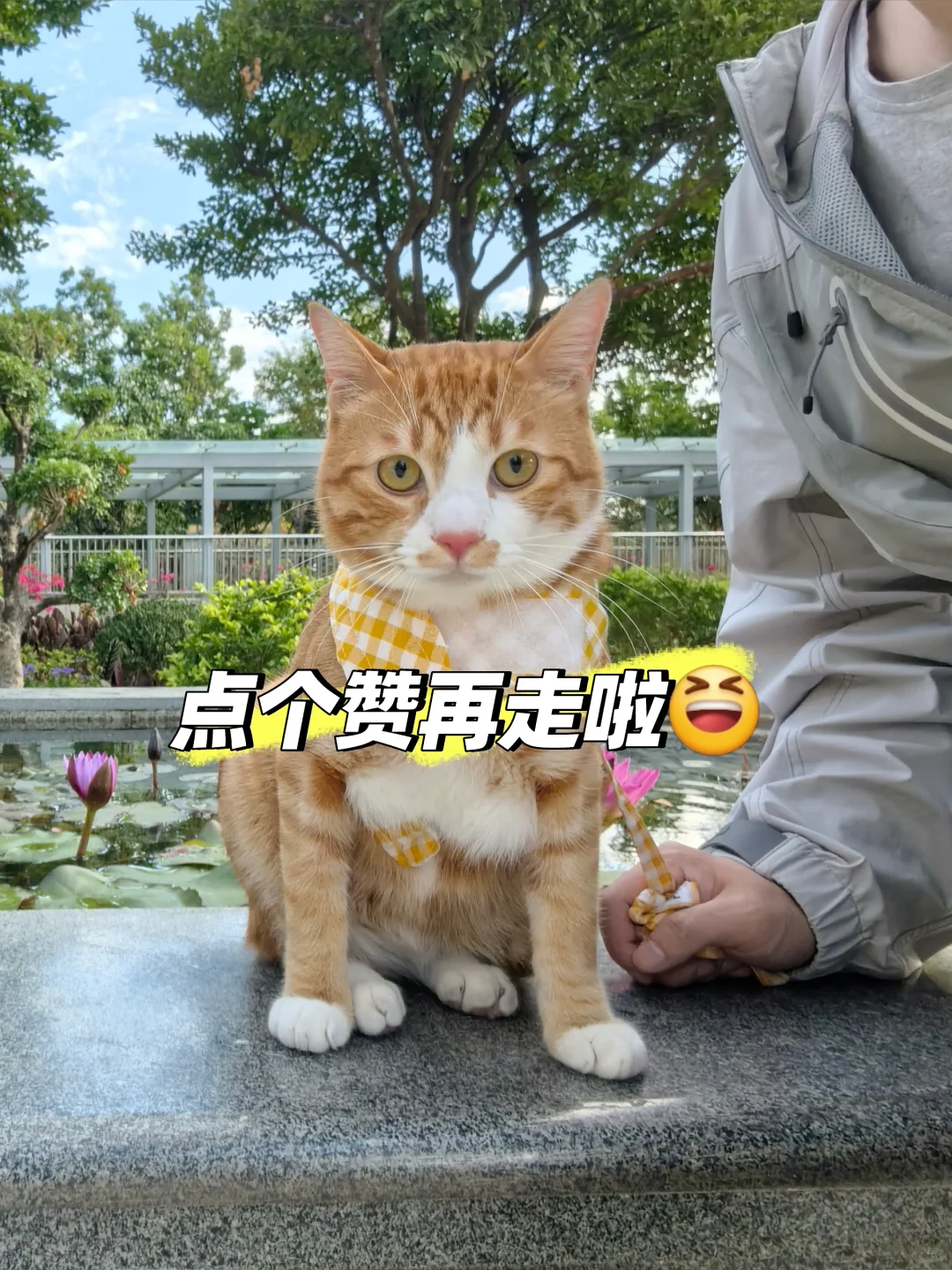【😹一个月200猫条的offer，接or不接】