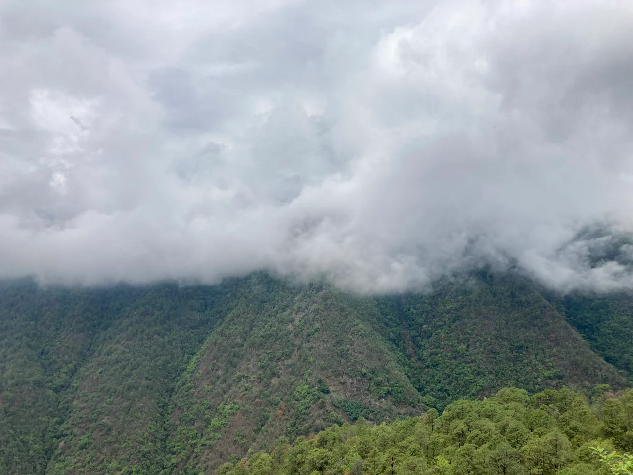 偏远地区的周末，事业编打工人的上午