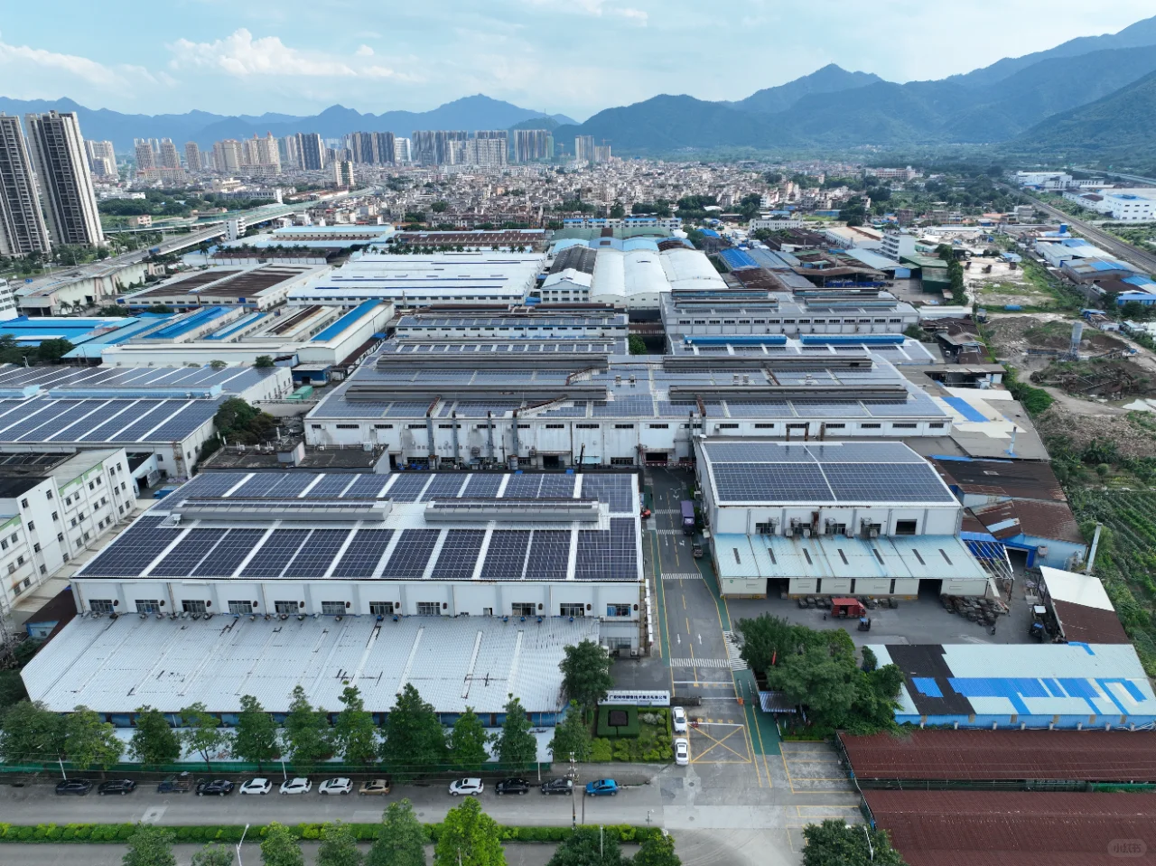 鸿特科技（泰国）有限公司招聘信息