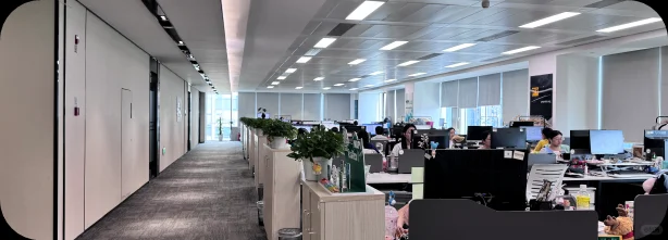 MDPI 2025最新招聘