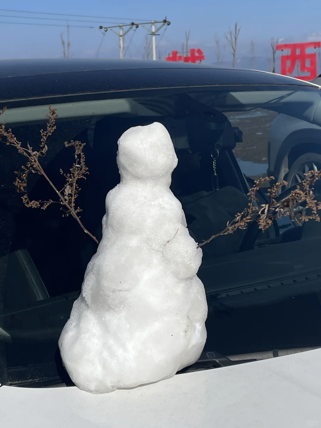 渝中区总部城招聘啦，超级闲的岗位