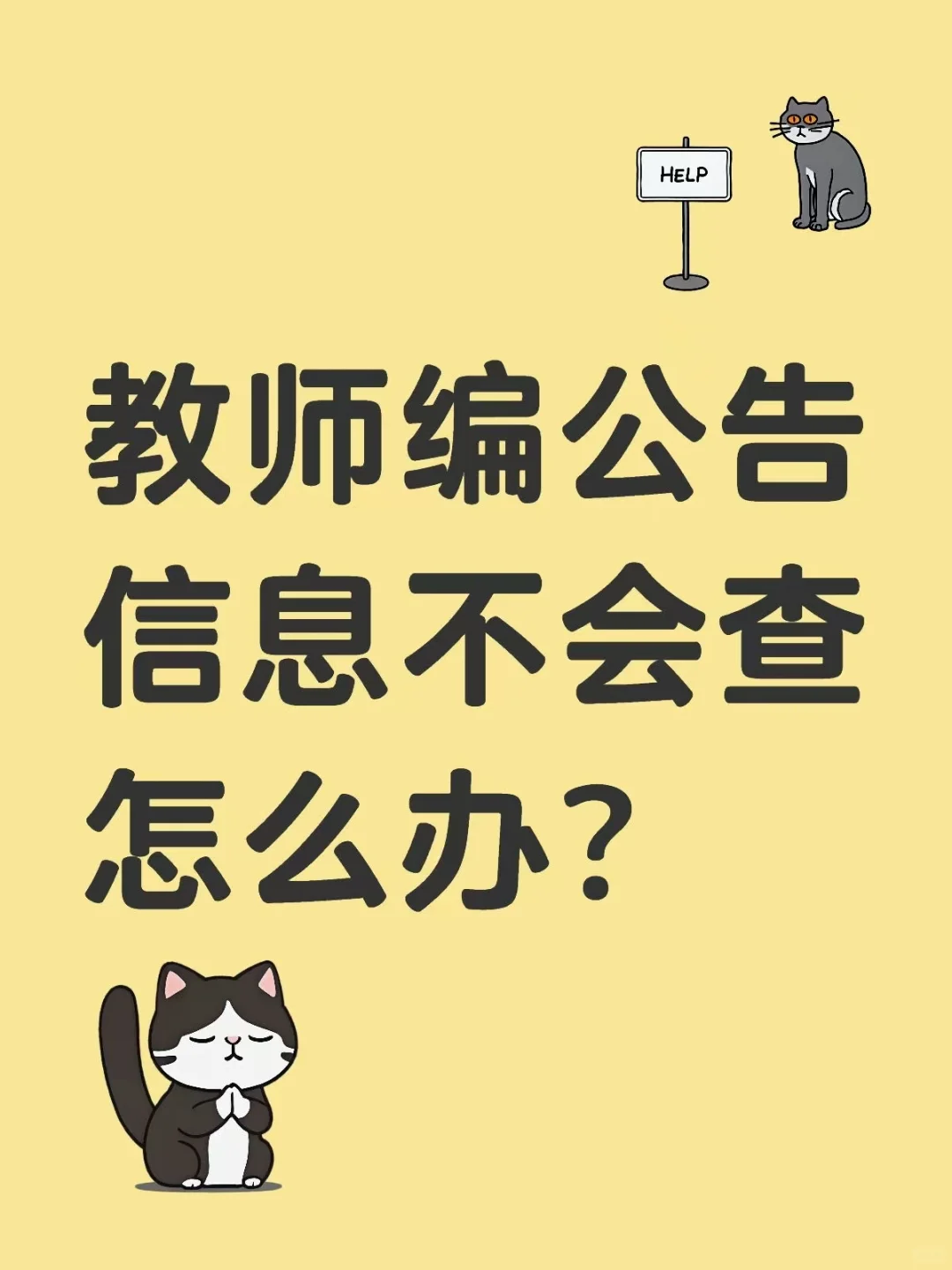 手把手教你如何看教师编考试公告！