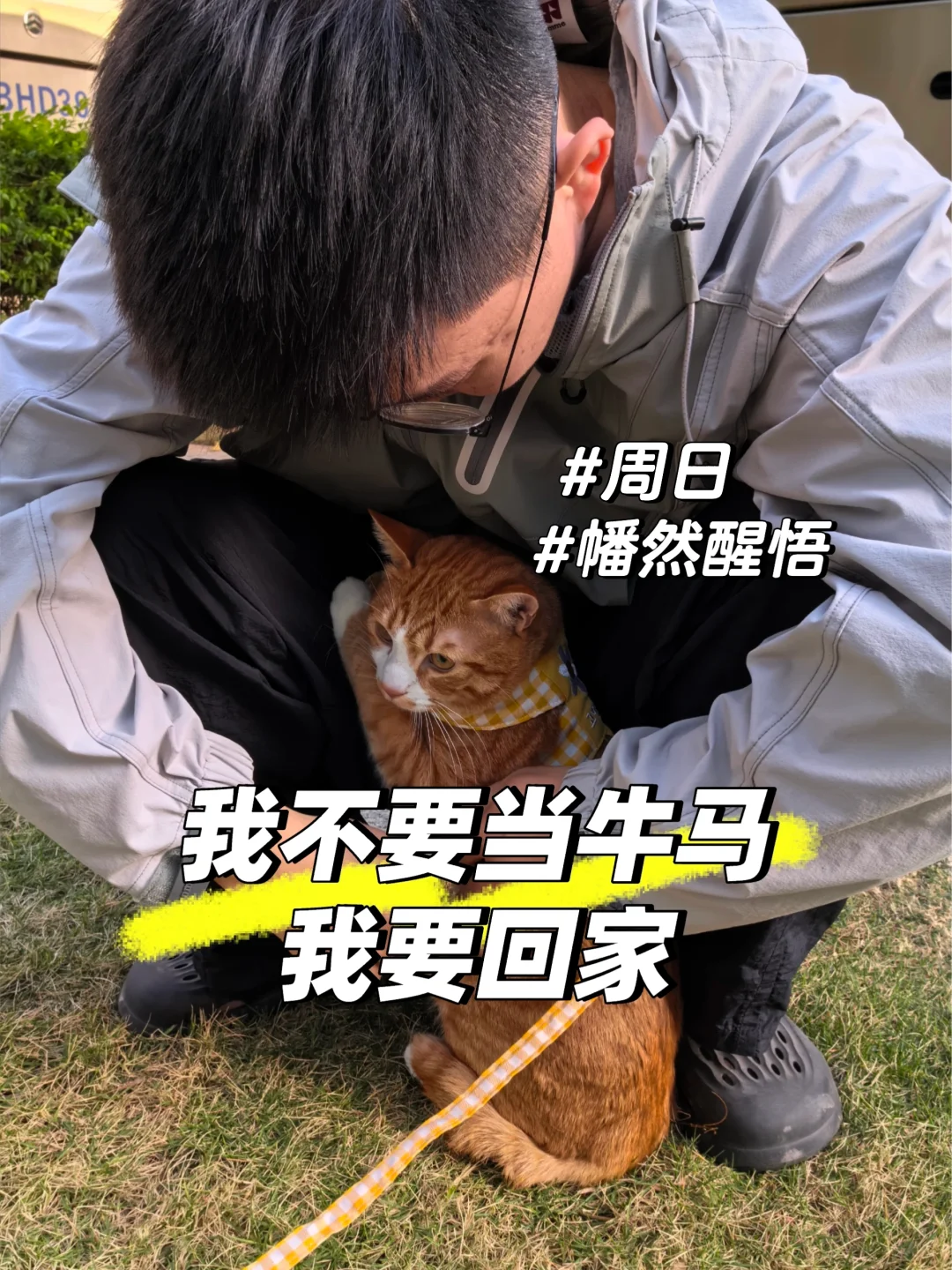 【😹一个月200猫条的offer，接or不接】