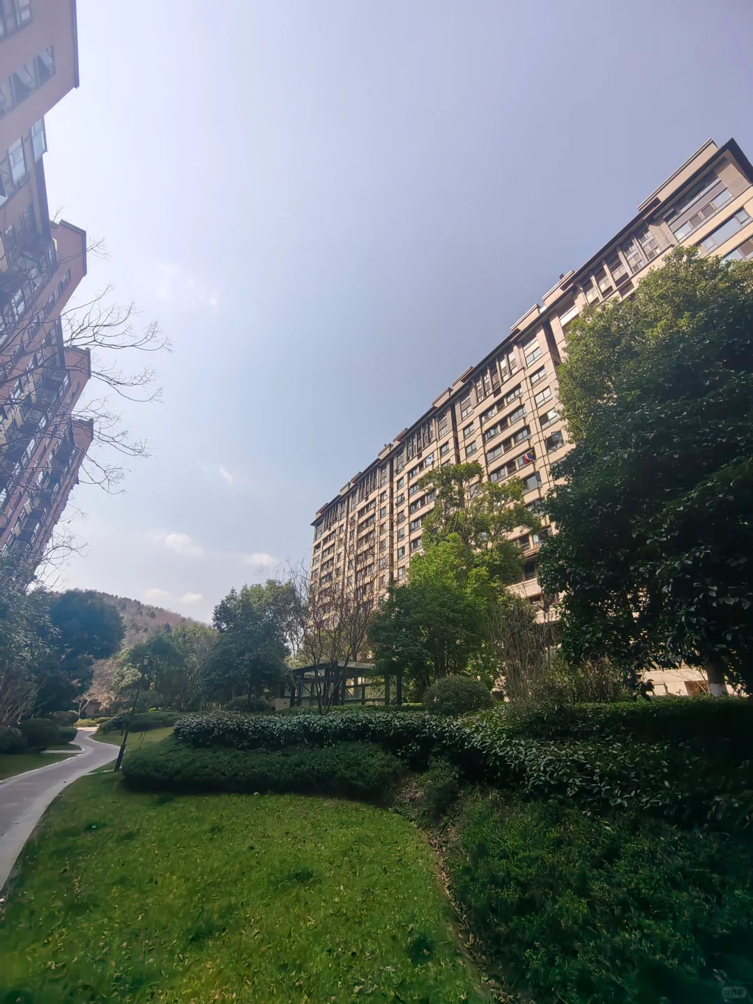 南京买房 仙林湖低密社区 带看记录高科荣境