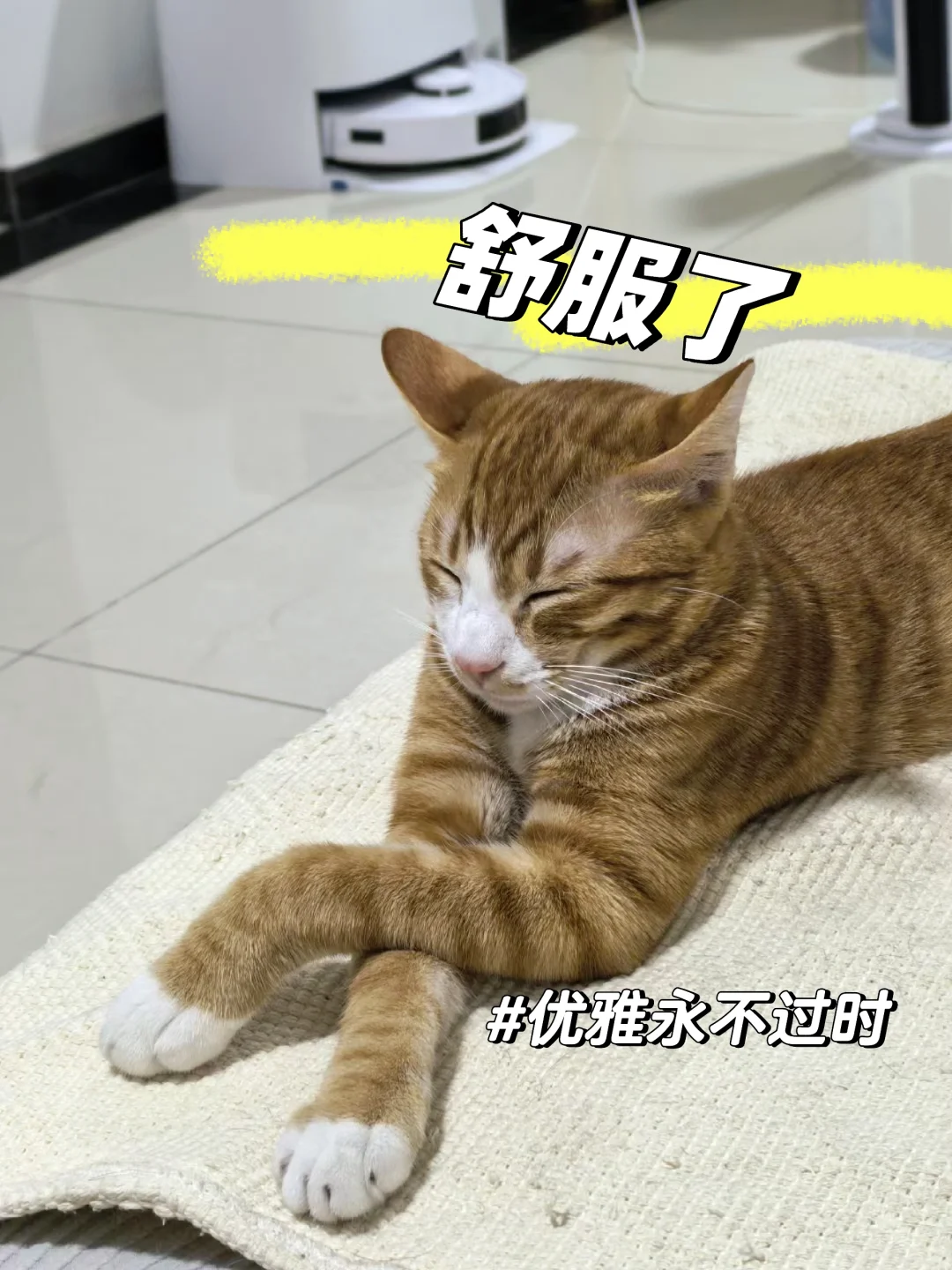 【😹一个月200猫条的offer，接or不接】