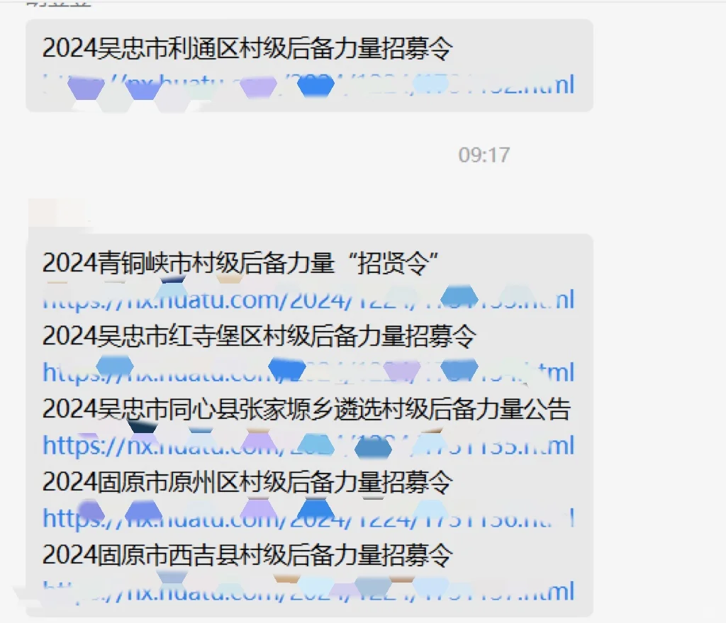 宁夏各地村级后备力量招募令