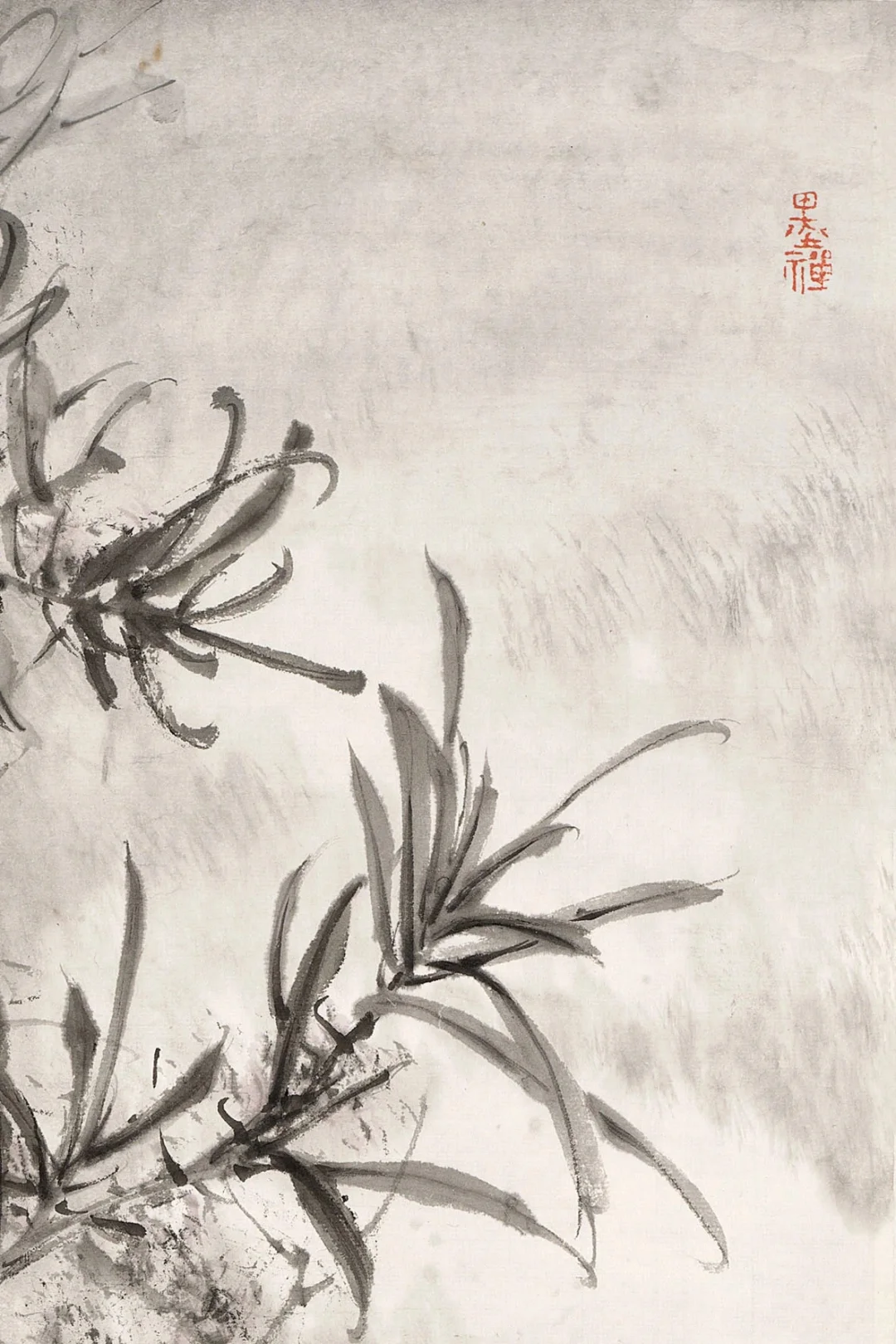 滉堂墨记｜相思树，忆写福清所见