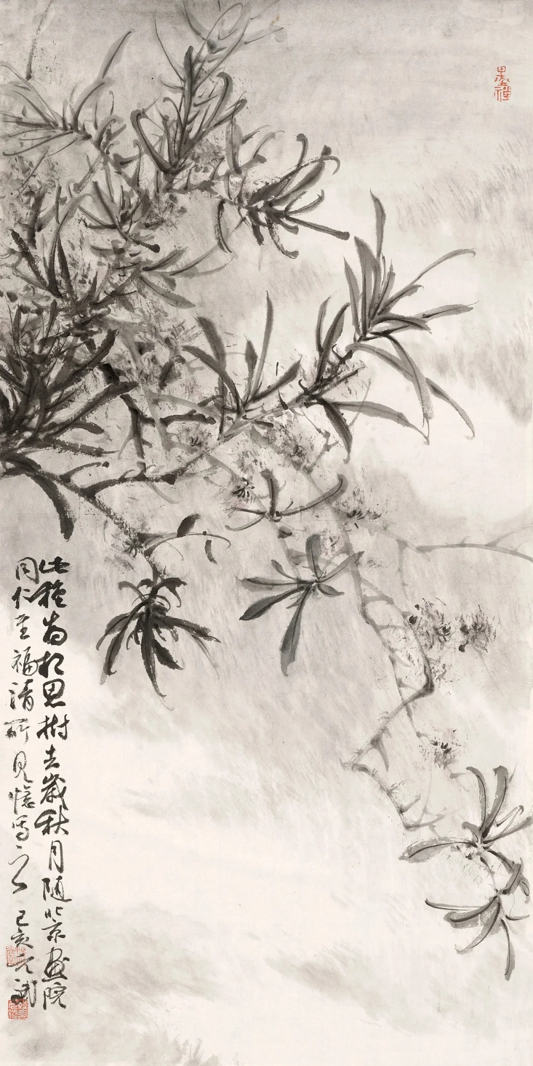 滉堂墨记｜相思树，忆写福清所见