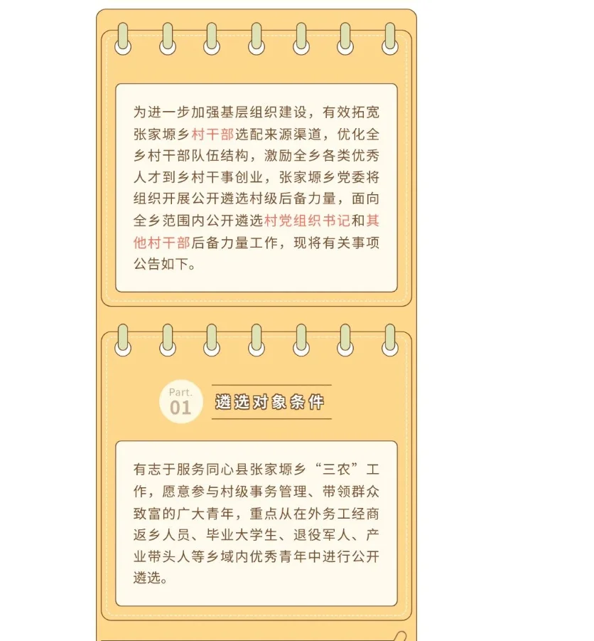 宁夏各地村级后备力量招募令