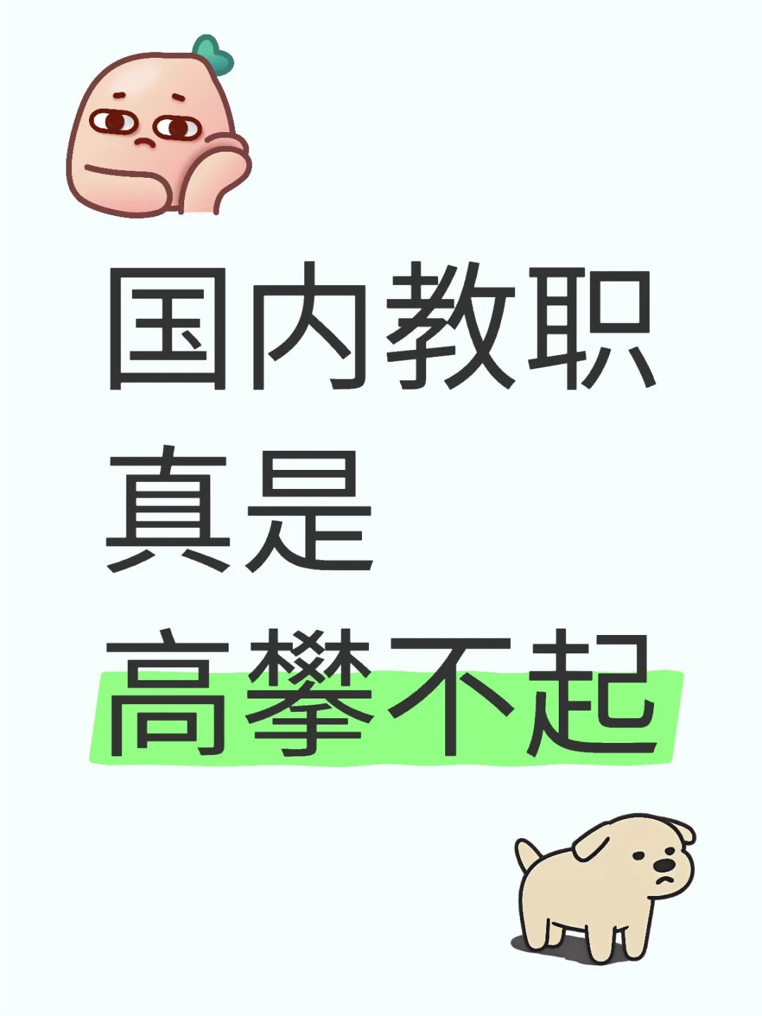 国内教职真是高攀不起
