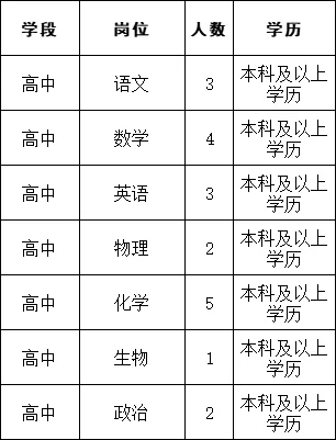 应届生又出新公告😜