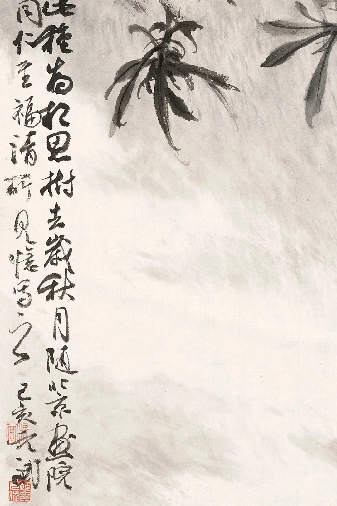 滉堂墨记｜相思树，忆写福清所见