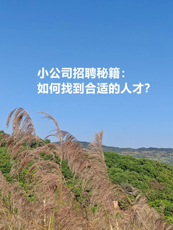 小公司招聘秘籍：如何找到合适的人才？
