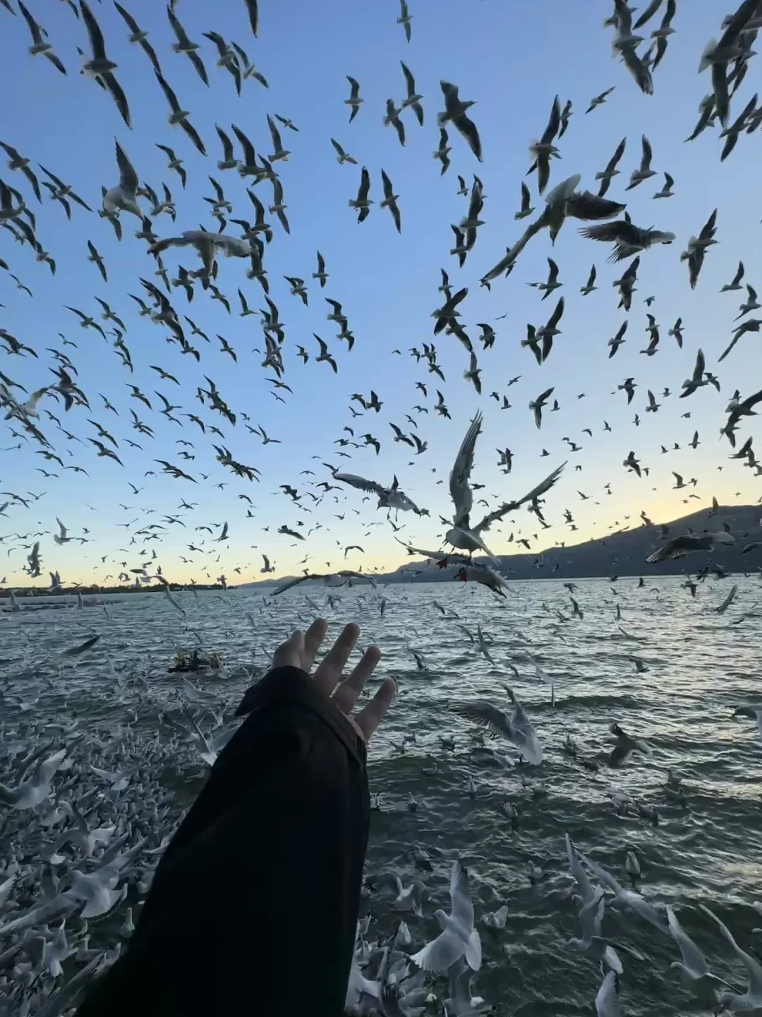 18张海边爆美高清实况免费可拿
