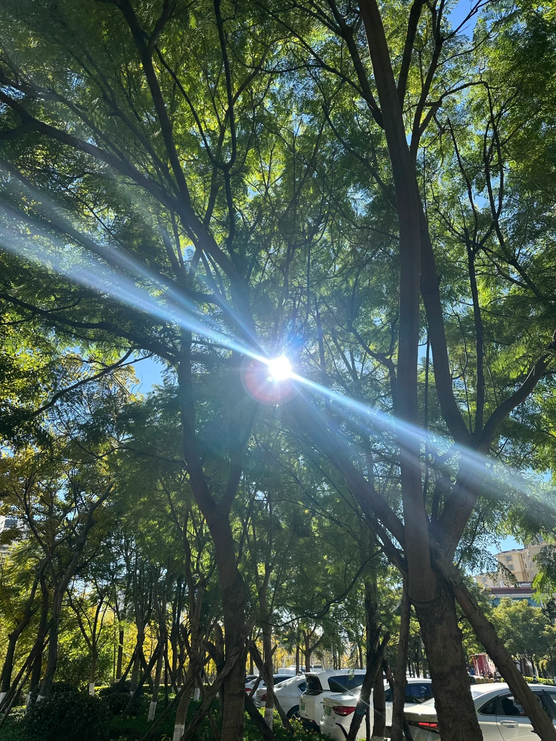 18张海边爆美高清实况免费可拿