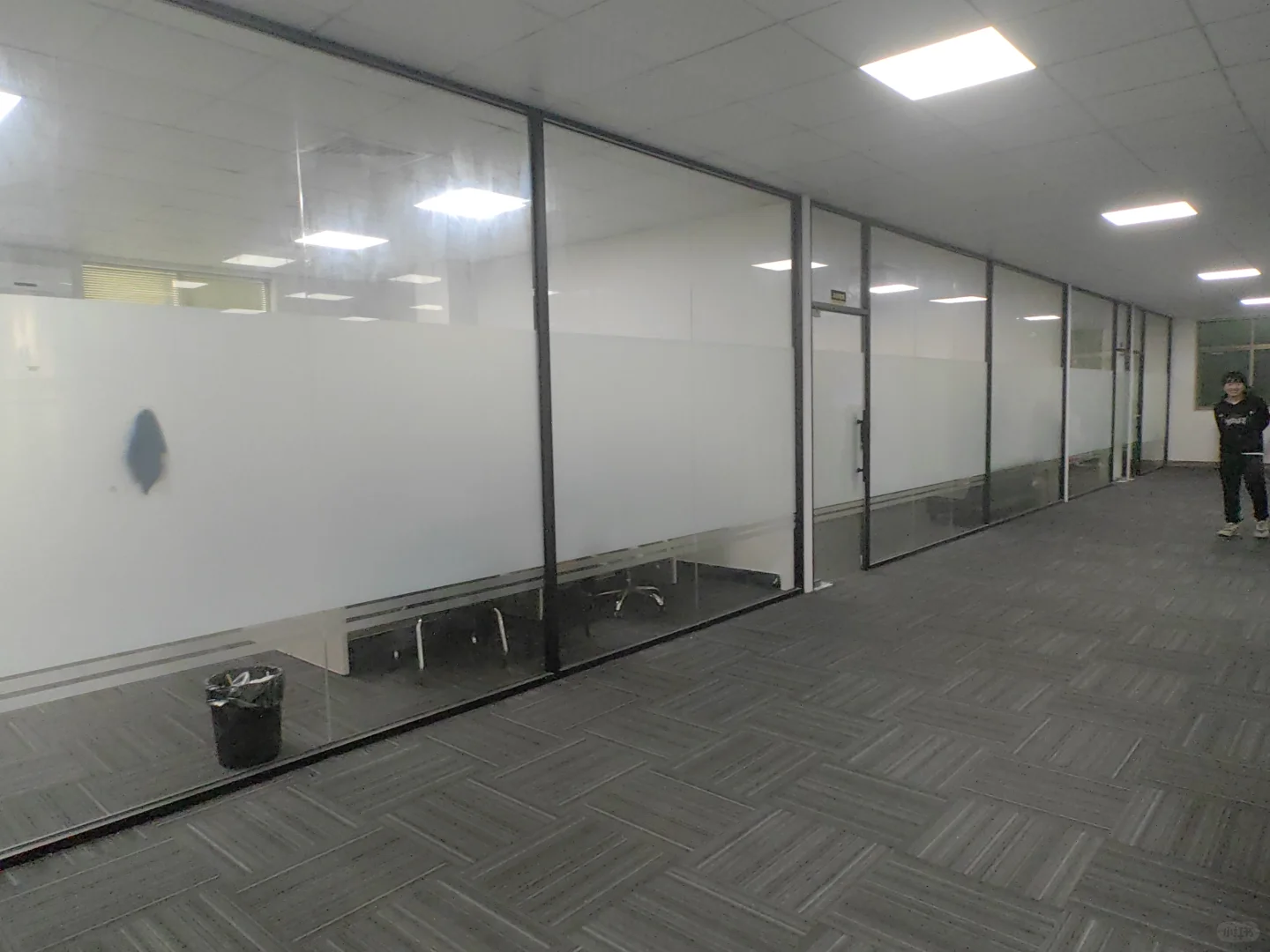 零零后招人，合适就来