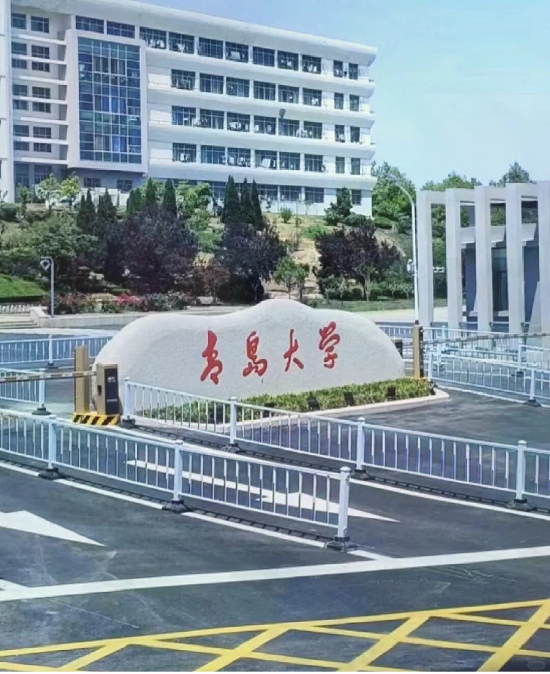 青岛大学招聘👀过来