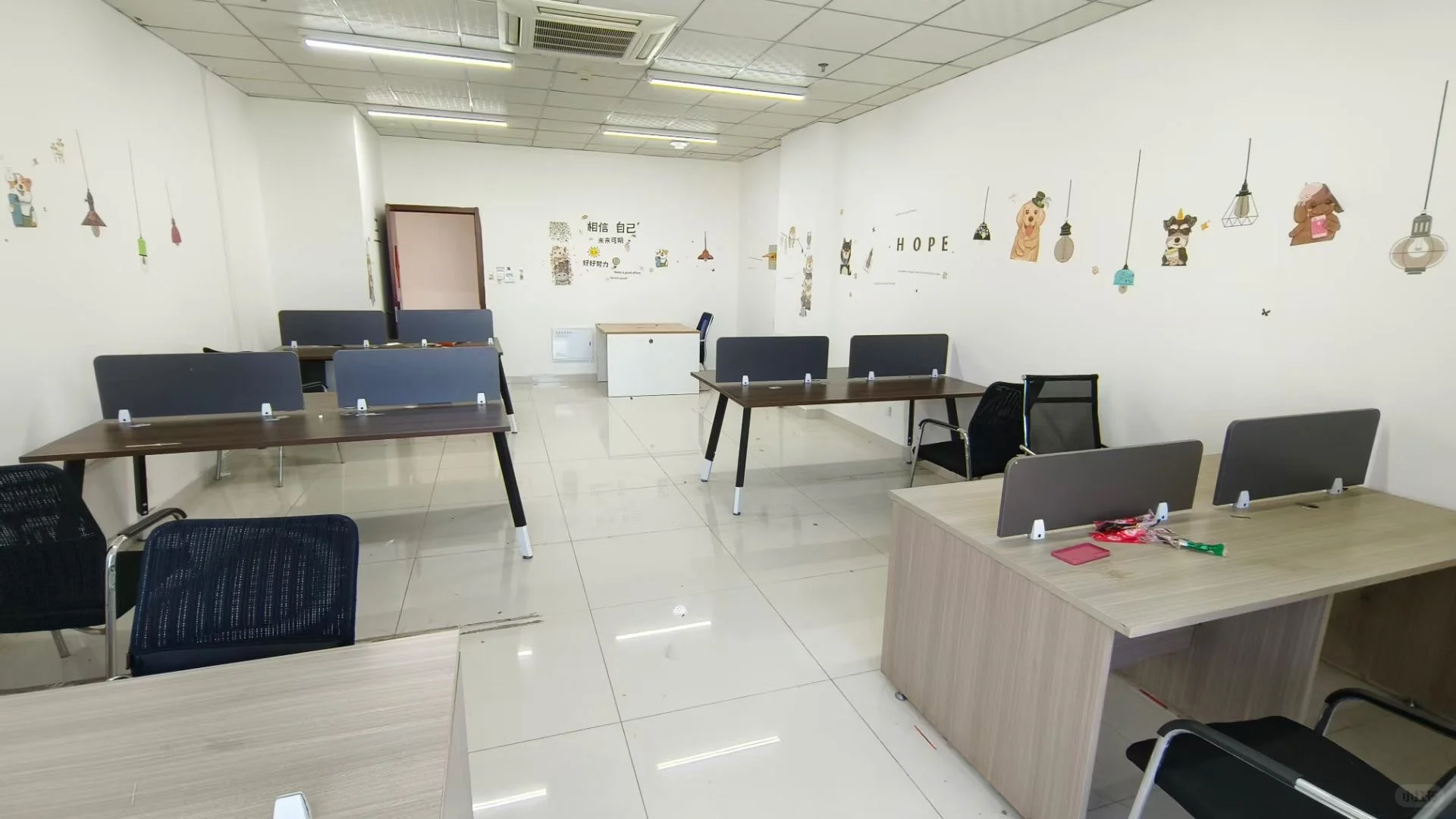 老板直招 不坑人,不套路