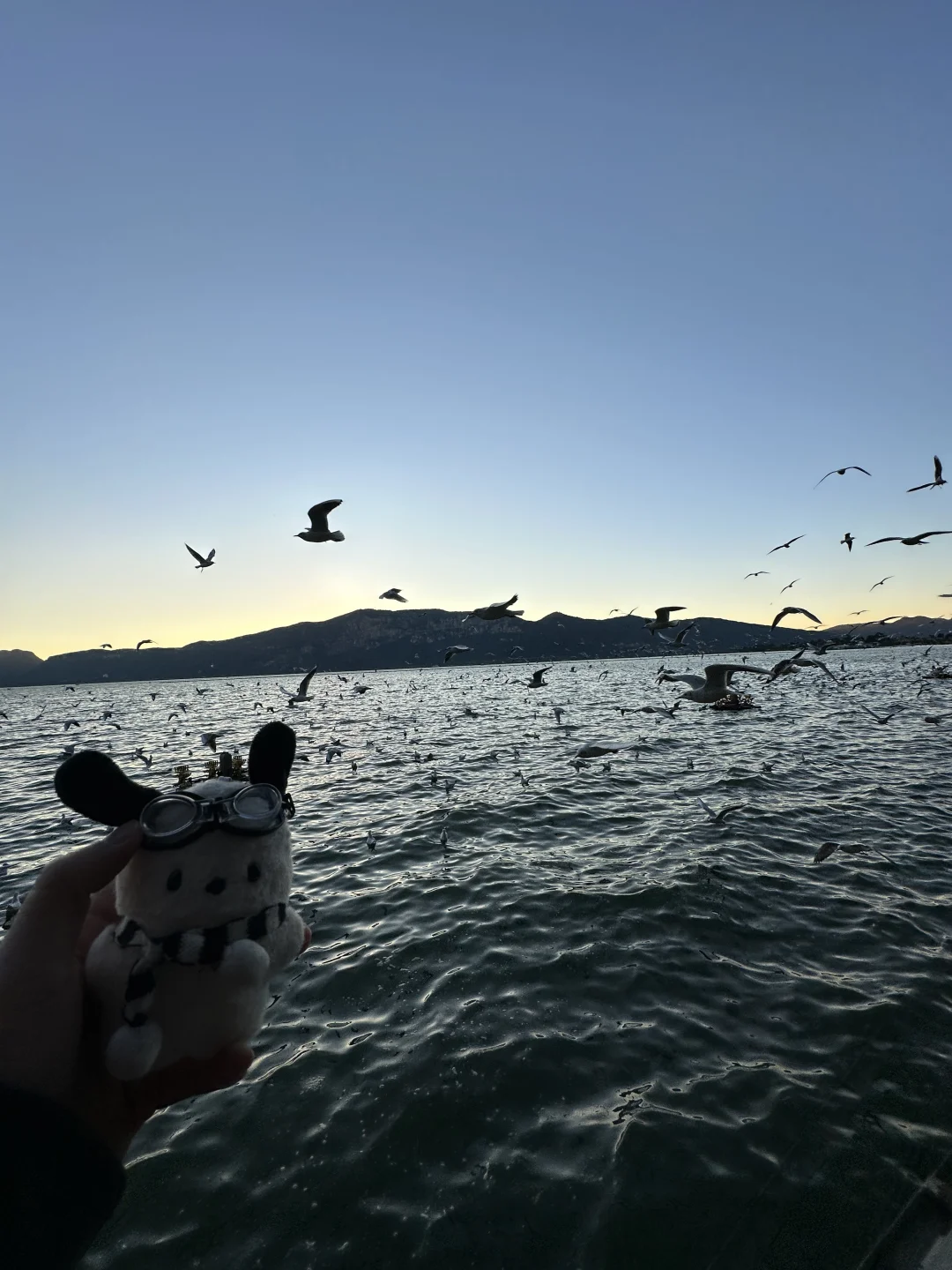 18张海边爆美高清实况免费可拿