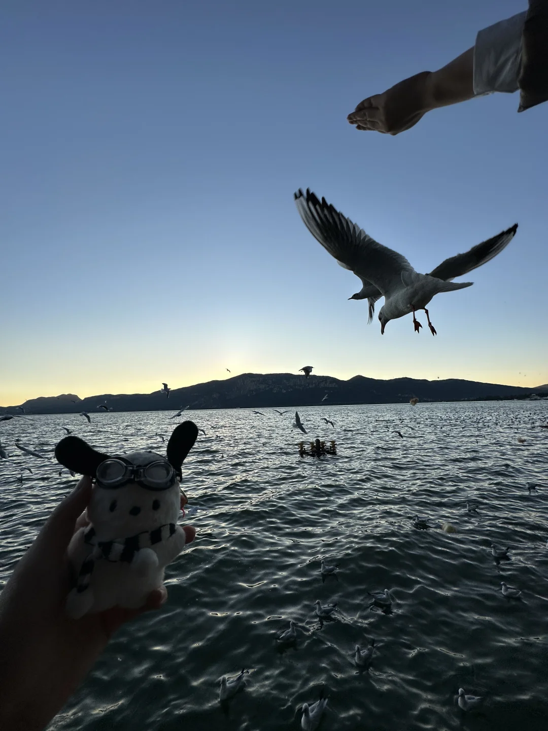 18张海边爆美高清实况免费可拿