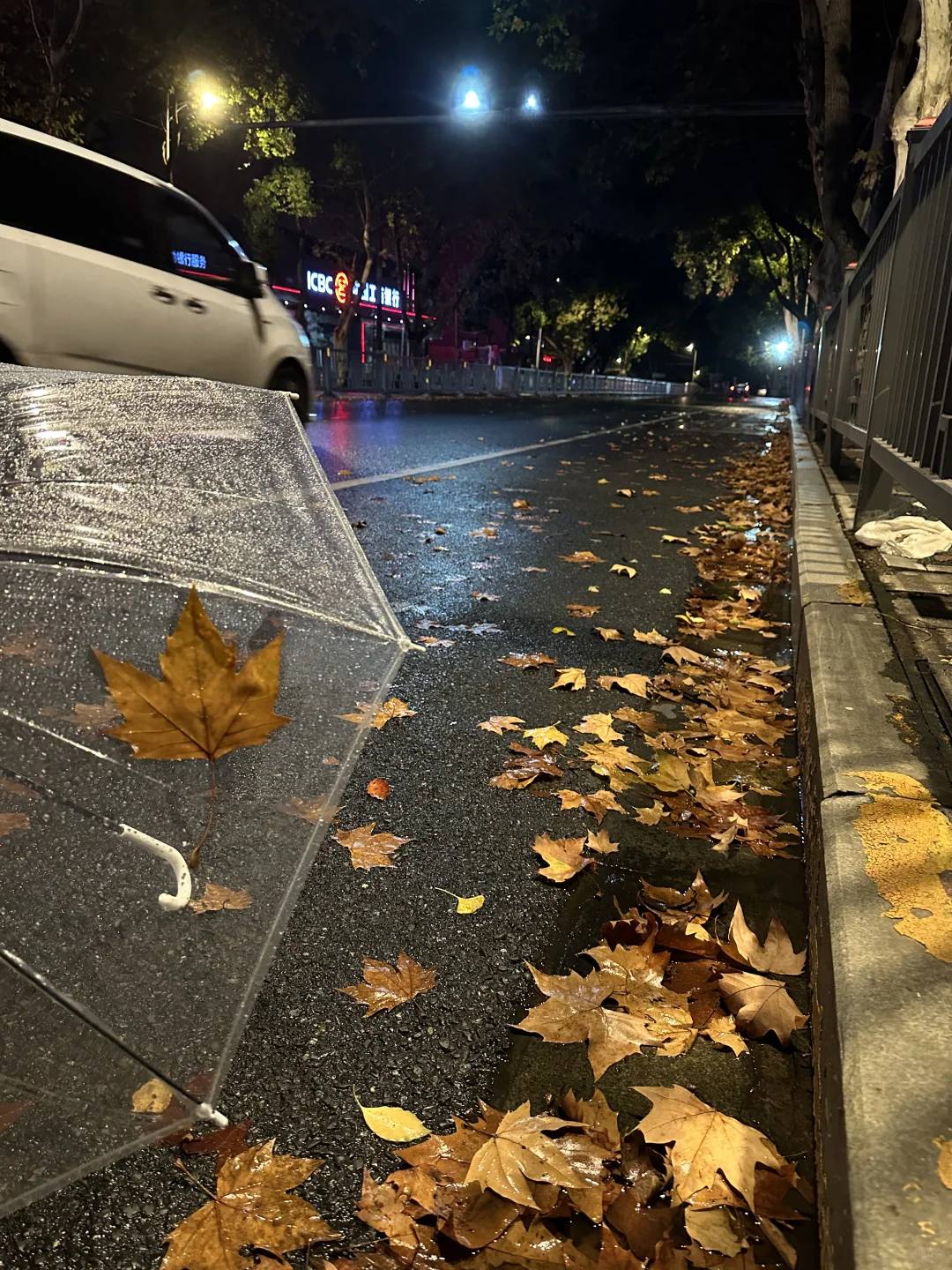 18张海边爆美高清实况免费可拿