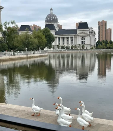 硕士进高校（仅限河南）（真保姆式教程）