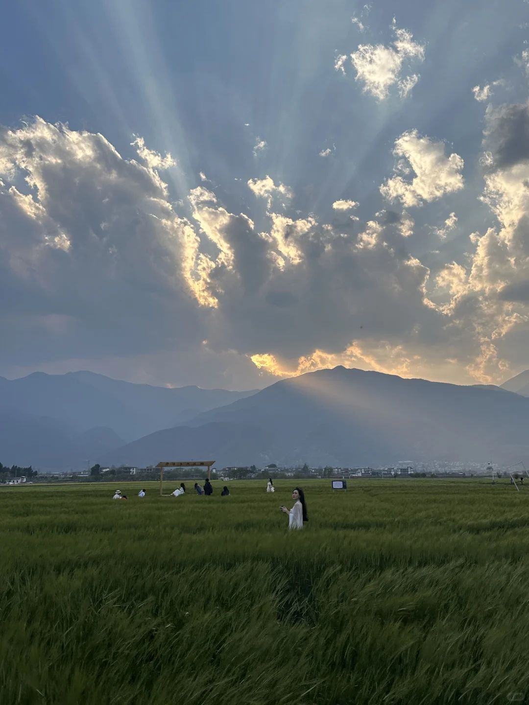 18张海边爆美高清实况免费可拿