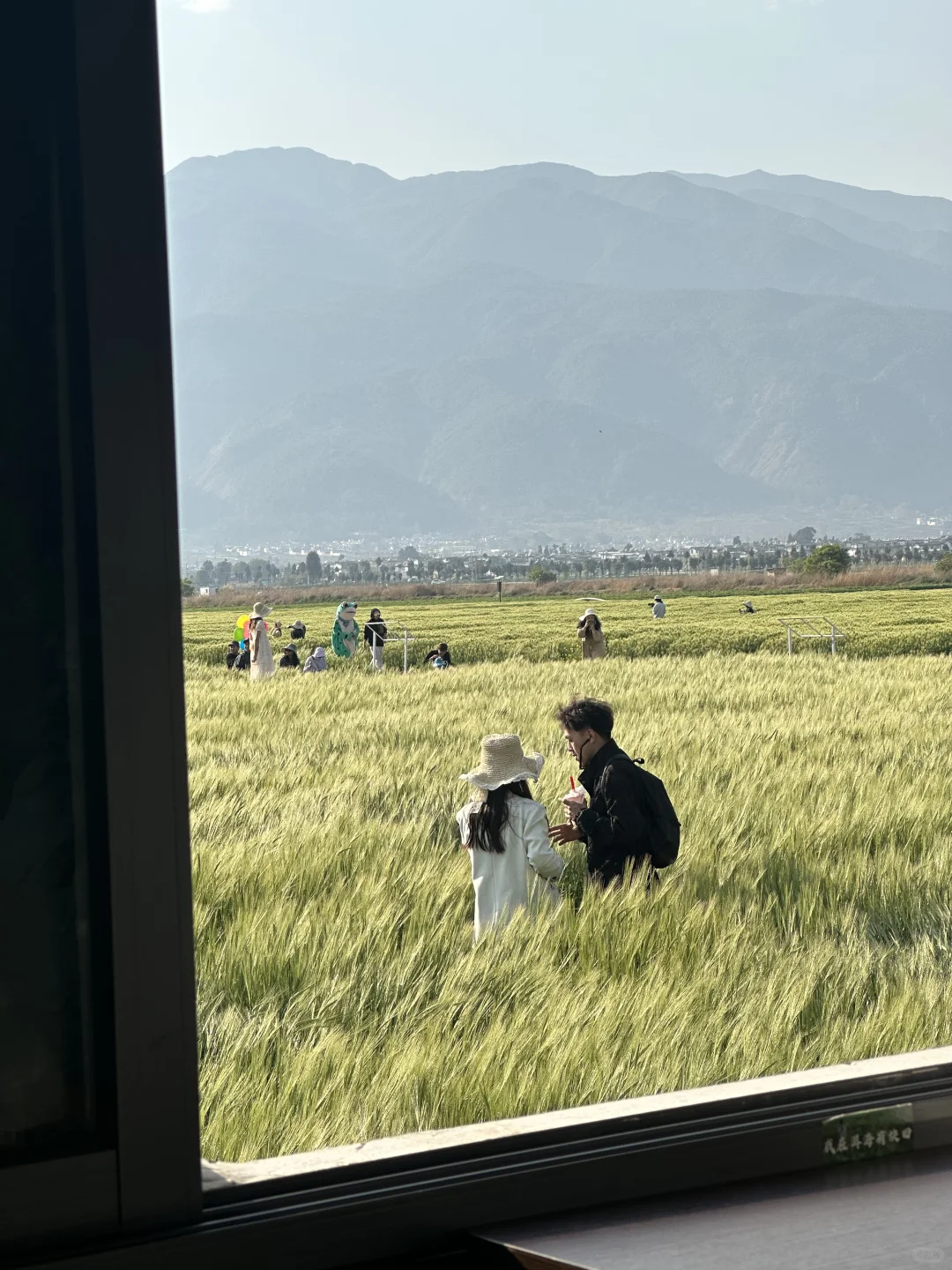 18张海边爆美高清实况免费可拿