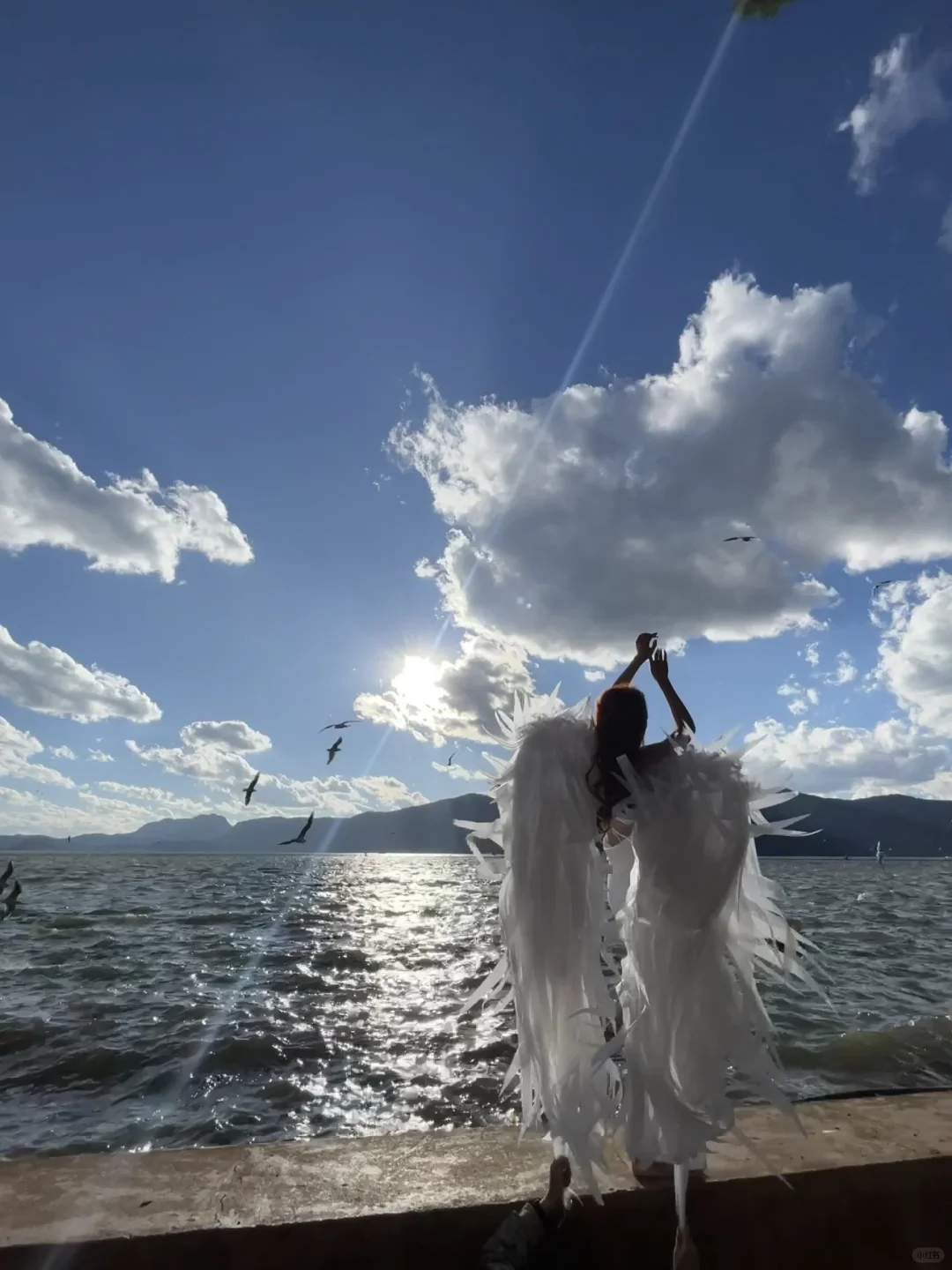 18张海边爆美高清实况免费可拿