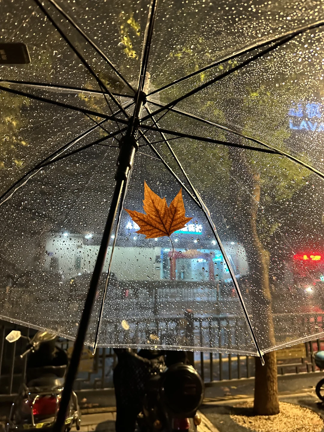 18张海边爆美高清实况免费可拿