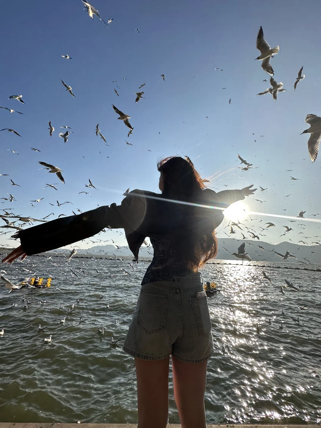 18张海边爆美高清实况免费可拿